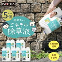 5個セット PROIDEA 庭師さんのミネラル除草液 2L×5 除草 天然由来成分 無害 安全 草取り 雑草 芝 安全 ガーデニング 庭 農薬不使用 草枯らし 雑草対策 雑草除去 除草剤 無農薬 環境にやさしい 枯らす 天然成分 日農耕地 駐車場 空地道路 自宅 庭師
