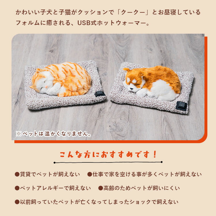 �ڥ����ݥ�ȯ����ۥ���ե��� ���˥ޥ�ۥåȥ������ޡ� QuuQuu �������� ��ȥ� ���� ǭ �ͤ� �� ���� �ҡ����� ���å���� �� ���� USB���� ������ ���ä��� ���Ĥ��� ���� �����к� �䤨�� ����Ĵ�� ��ǭ �Ҹ� ���뿲 �̤������