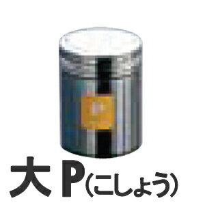 TKG 18-8ステンレス 調味缶 大 P(こしょう)