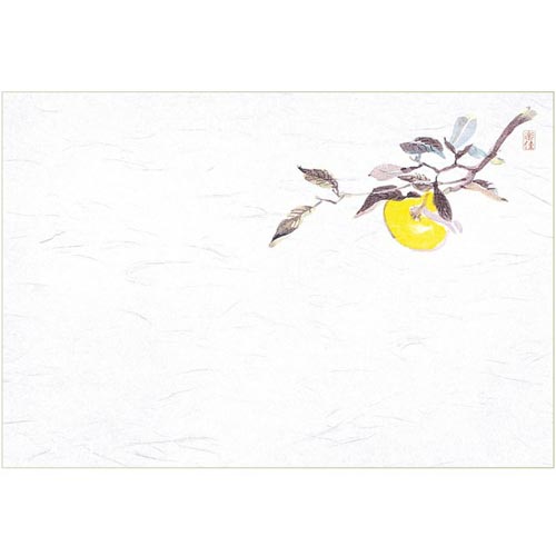 マイン 業務用 使い捨て テーブルマット 四季紙 千寿 39×26.5cm ゆず(10月-12月) 100枚入 M30-215