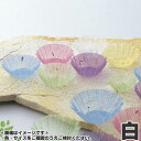 マイン 業務用 グルメカップ 金箔紙 白 75mm 500枚入 M33-555