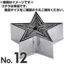 SA 18-0ステンレス パテ抜 星 No.12(3)