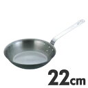 TKG IH対応 鋳鉄アイアンブルーフライパン 22cm FC-22