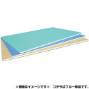 長谷川化学工業 抗菌 CBボード 製菓&製パン用 60×40cm TCSK8-6040 ブルー