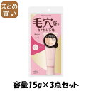 【まとめ買い】ポイントマジックPRO ポアカバーC 容量15G×3点セット 黒龍堂 メイク