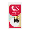 ポイントマジックPRO プレストパウダーC 10(ナチュラルオークル) 容量6G 黒龍堂 メイク(4)