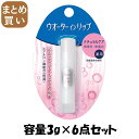 【まとめ買い】ウオーターインリップ 薬用スティックNF n 容量3G×6点セットファイントゥデイ リップクリーム