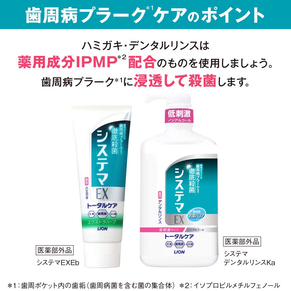 SHIKIEN 舌用ブラシ　ダブルワン　抗菌タイプ　パープル【取寄商品】