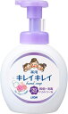キレイキレイ 薬用泡ハンドソープ 本体大サイズ フローラルソープの香り容量500ML