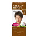 ルシード ワンプッシュケアカラー ライトブラウン (医薬部外品) 容量100G マンダム ヘアカラー