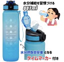 レビューキャンペーン目玉品◎モチベーショナル ボトル メモリ付水筒 約887ml ブルー Blue 青 水筒 モチベーショナルボトル 水 1時間毎のタイムマーカー付き 水分補給 水分摂取量測定 ヨガ ジム スポーツ 宅トレ トレーニング(3)