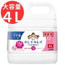 数量限定◎スーパーセール&レビューキャンペーン目玉品(※商品レビュー必須)◎LION ライオン キレイキレイ 泡ハンドソープ 薬用 業務用 4L◎泡で出るタイプ◎シトラスフルーティーの香り◎大容量