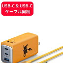 Anker USB急速充電器 120W 【ライチュウモデル／オレンジ】アンカー充電器 急速充電器 ポケモン ピチュー