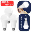 NEWGALE 防災充電式LED電球E26 60W 810lm 3個パック PJG-9WE 【昼白色】