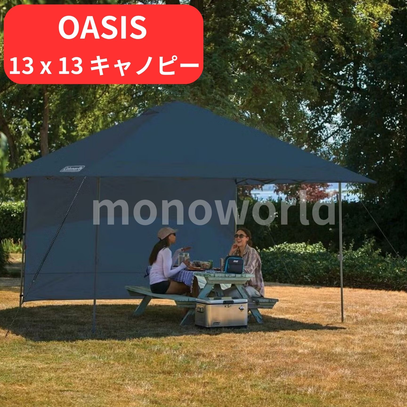 コールマン 13 x 13 キャノピー【＊OASIS＊】 キャノピー　Coleman コールマンキャノピー ★ 01985280 【商品仕様】●人数：6●形状：キャビン型●ポールの材質：スチールテント／フライの材質：ポリエステル●耐水圧：2000 mm●使用時寸法（L× W × H）：396×396×292cm●収納時寸法（L× W × H）：120×26×21cm●重量：22.0 kg【商品特徴】★ワンプッシュ式センターハブで簡単に設営可能★強い日差しや横風を防ぐサイドウォールが標準装備★大型サイズの簡単組立シェード★風に強く雨や日差しが入りにくいひさし型★トップベンチレーションあり★ホイール付き収納ケース【商品詳細】ワンプッシュセンターハブで簡単に設営可能な大型シェード日差しや風を防ぐサンウォールでさらに安心。★注意事項★※商品によって梱包、発送方法が異なりますのでご了承の上ご注文をお願い致します。（外箱に直接伝票を貼る、又はエアーパッキン梱包、封筒に直接入れる、又はリサイクル段ボールでの梱包のいずれかになります。）※保管輸送中の傷、スレ、多少の汚れ等がある場合がございますが、ご了承の上ご購入をお願い致します。※ご利用のモニター環境により、色合いが異なって見える場合がございます。 5