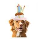 Lesypet 犬 猫 誕生日帽子 ペット用バースデーハット パーティーコスプレ、L【ブランド】LesyPet【age_range_description】成年【size】Lサイズ (x 1)【pattern】誕生日帽子L【breed_recommendation】中型品種【batteries_required】false【size_map】L【unit_count】1.0【variation_theme】PATTERN_NAME【manufacturer】LESYPET【batteries_included】false【target_gender】unisex