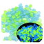 TARATI 夜光石 蓄光石 青と緑の混合発光石 化粧砂 観葉植物 玉石 砂利 水槽底砂 園芸用砂 防草飾り石 盆栽砂 造園装飾玉砂利 水栽培 DIY アクセサリサボテンの土 化粧石 白い砂 はいどろかるちゃー観葉植物人工蛍石蛍光発光小石 ガーデニング