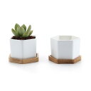 T4U 7CM 植木鉢 多肉植物鉢 サボテン鉢 陶器鉢 ミニ鉢 竹トレー付き 底穴付き 白 2個入り 母の日ギフト