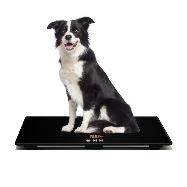 大型犬用の体重計 ペット 体重計 ペットスケール 体重 犬 猫 計測100kg 精度10g 65 x 45 cm 