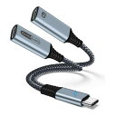 2in1 ^CvCCzϊA_v^ USB Type-C Czϊ P[u DAC 32bit/384kHz Hi-Fi  ϋvґgiCP[u PD 60W }[d  yĐ/ʘb/ʒ Ήi-Pad 20