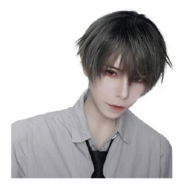 IOZO メンズ ウィッグ ショート フルウィッグ ミディアム 黒 かつら エクステ mens'wig 男装 学生 面接 仕事 紳士 変装 クリスマスコス mens03 T3-アッシュグレー…