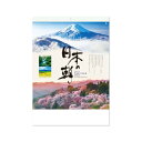 新日本カレンダー 2023年 カレンダー 壁掛け 日本の朝 NK137