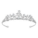 FRCOLOR 王冠 ティアラ ブライダル ティアラ ヘアアクセサリー 結婚式 ウェディング アクセサリー 花嫁 誕生日 プレゼント(3)