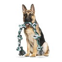 Ycozy 犬用おもちゃ ロープ 6ノット 中型犬 大型犬 犬噛むおもちゃ 歯磨き玩具 ストレス解消 106cm