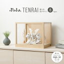 五月人形 ケース飾り コンパクト おしゃれ 兜飾り モダン インテリア 5月人形 ぷりふあ五月人形 TENRAI 四緑ノ時-shiroku no toki- ナ...