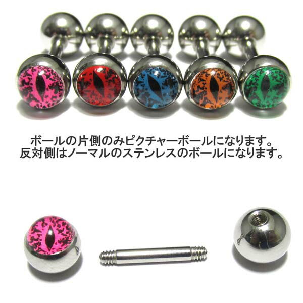 全5色!スネークアイ(SNAKEEYE)ピクチャーボールストレートバーベル【14G(1.6mm)】BP-BC72■アイボール■ボディピアス/ボディーピアス■軟骨■トラガス■ヘリックス■目玉■眼球/316Lサージカルステンレス■ゴシック■ロリータ/HELIX/10P03Sep16
