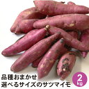 品種おまかせ さつまいも サイズ選択可能 2kg 【2ケース購入で送料無料!プラスお値段そのままで1kgプレゼント、合計5kgをお送りします!】 さつまいも 焼き芋 業務用 イベント(4)