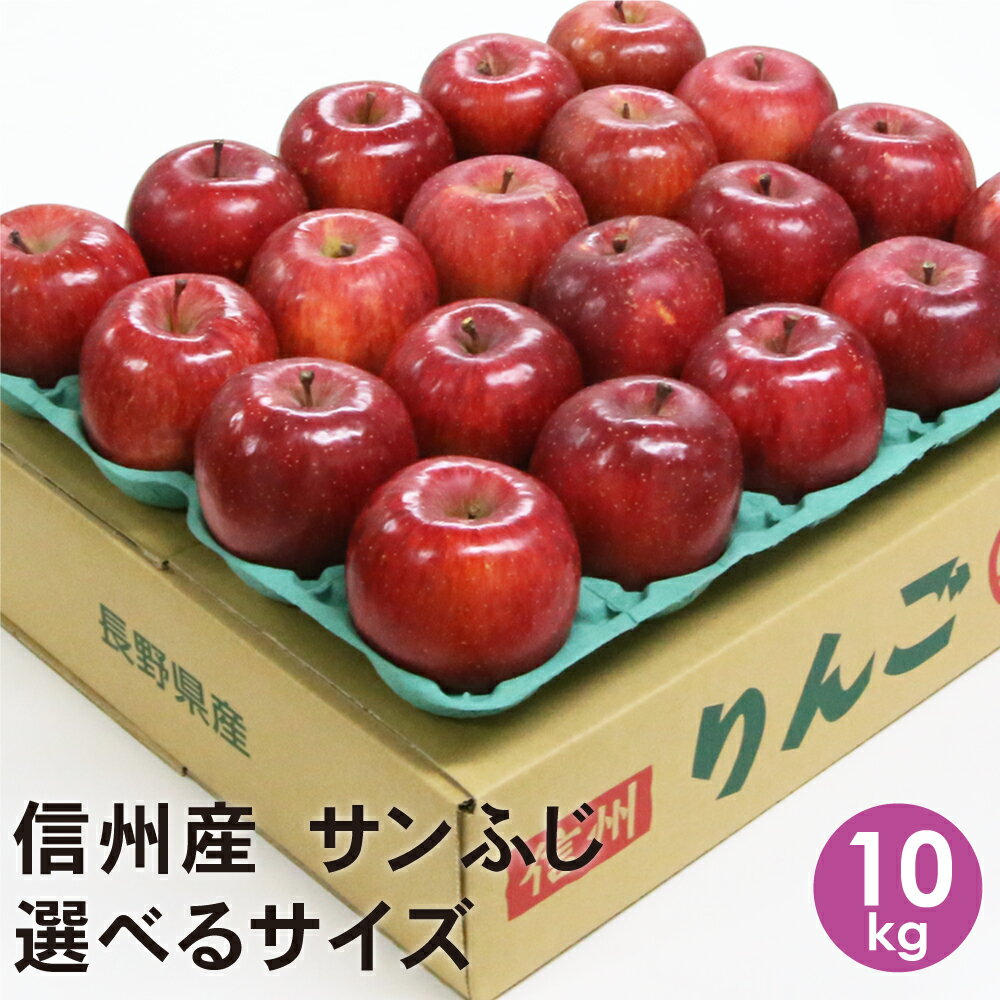信州産 サンふじ 10kg 【送料無料】 長野県産 りんご サンフジ 【贈答用】のサムネイル