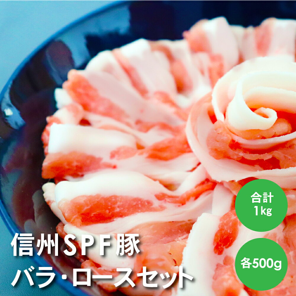 【送料無料】SPF豚バラ