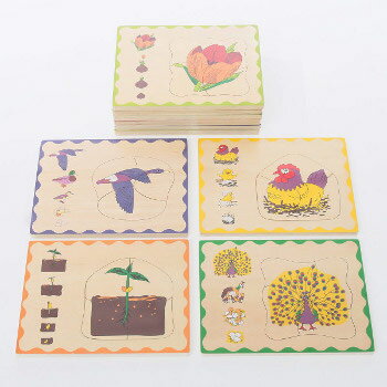 パズル 初めて出会う生命の物語 生物の成長過程 収納棚付き 幼稚園 おしゃれ 保育園 特別支援学校 知育 知育パズル 幼児教育 教材 幼児期 教具 知育玩具 知育教材 知育教育 知育パズル ステップパズル おもちゃ 木製 子供 子ども キッズ 幼児期 モンテッソーリ教育 集中