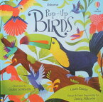 飛び出す絵本 仕掛け絵本 鳥 英語 English picture book Usborne pop up birds しかけ絵本 プレゼント