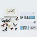 動物フィギュア 世界の鳥2 12種 (絵カード付) 学習玩具 プレゼント モンテッソーリ おもちゃ