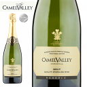 キャメルバリー・コーンウォール　ブリュットCamel Valley Cornwall Brut 2017（スパークリングワイン）750ml 瓶 白・泡 イングリッシュワイン 英国 ギフト プレゼント 贈り物 誕生日 お酒 お祝い 母の日