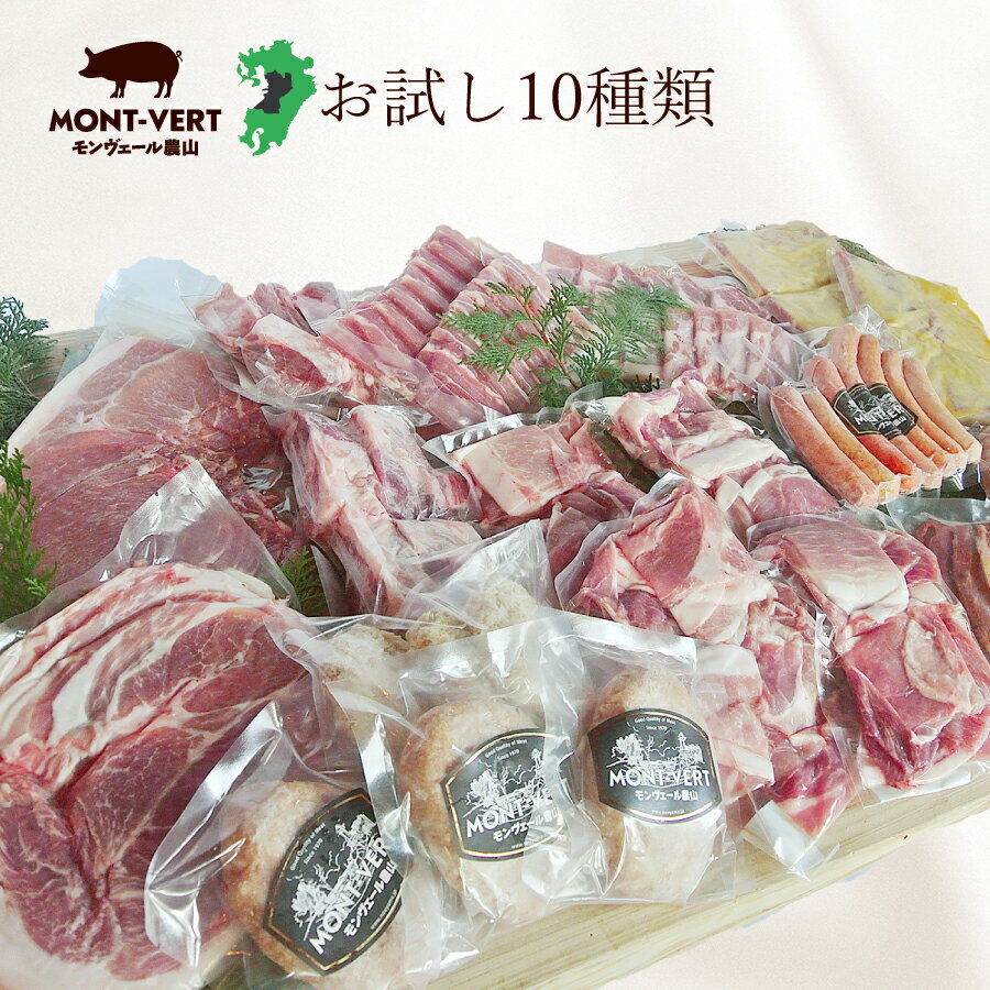 【熊本直送】 肉袋冷凍 熊本県生産直売 10種類福袋 送料無料 食べ物 贈り物 福袋 豚肉 しゃぶしゃぶ 焼肉 メンチカツ…