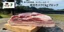  生産直売 希少 熊本県産 皮付きバラブロック1kg 簡易包装 基本冷蔵 真空包装 モンヴェールポーク 熊本県産 国産 豚肉 生肉 冷凍可 チャーシュー 手作りベーコン用 煮豚用