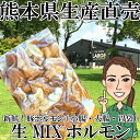 【冷凍】　熊本県生産直売★生ミックスホルモン1kg【カット済み】　豚ホルモン　小腸　大腸　胃袋　ガツ　あす楽　国産