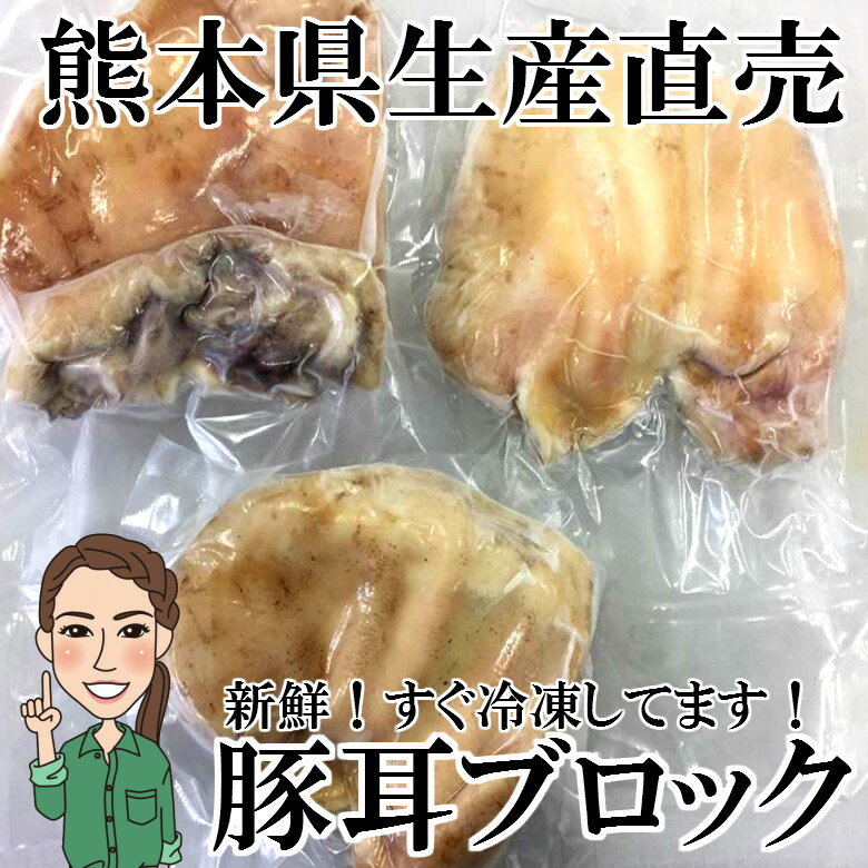 冷凍 熊本県生産直売 耳1個約200g 豚耳 ミミガー ボイル済み 国産