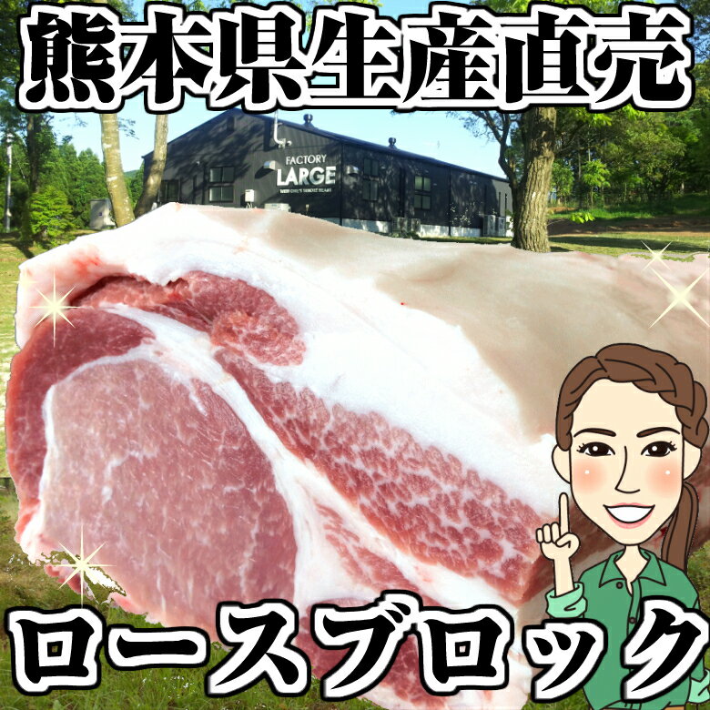 豚肉 ロース ブロック 送料無料 4kg 2kg × 2p ブランド豚 モンヴェールポーク 熊本県産 国産 美味しい..