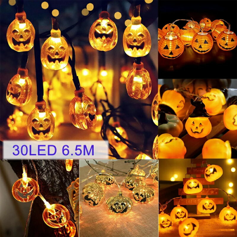 ܥ饤  顼饤  30LED 6.5m ܥ򤷤 ǥ  ĤȤ ȥ󥰥饤 ...