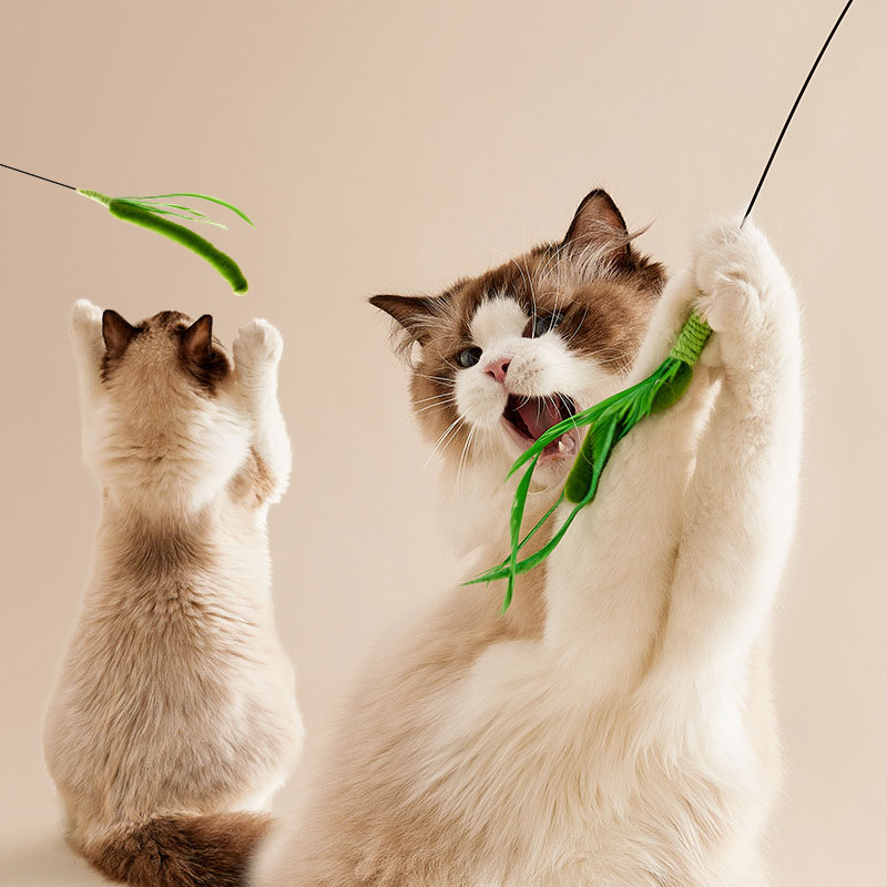 樂天商城 - 2点セット 猫おもちゃ かわいい ねこおもちゃ 猫遊び用品 長さ約50cm 猫のお好み ペットおもちゃ ペット用品