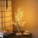白樺 ツリーライト led インテリア 間接照明 おしゃれ イルミネーションライト 高さ60cm ブランチライト 屋内装飾用 卓上 電池/usb両用 (暖かい光...