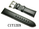 23mm シチズン CITIZEN 時計バンド ベルト 黒 プロマスター PMV65-2272用 カーフベルト 59-T50684【送料無料 ネコポスにて発送】