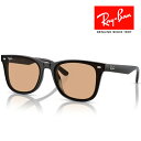RayBan レイバン サングラス メガネフレーム 65□18 ブラック ブラウン RB4391D 601/93 クロス付き レイバン純正メガネケース付き 国内正規品(4)