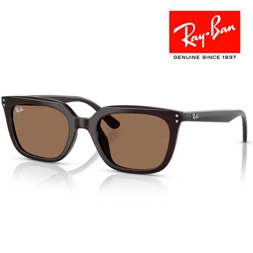 RayBan レイバン サングラス メガネフレーム 54□21 ブラック ブラウン RB4439D 623173 クロス付き レイバン純正メガネケース付き 国内正規品 RayBan レイバン サングラス メガネフレーム 54□21 ブラック ブラウン RB4439D 623173 クロス付き レイバン純正メガネケース付き 国内正規品