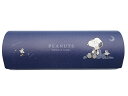 メガネケース スヌーピー RELAXIMG NIGHT めがねケース マグネット式 セミハード クロス付き 【定形外郵便送料390円】【代金引換不可】