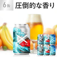 クラフトビール 詰め合わせ セット 家飲み応援 家飲みセット おうち時間 オシャレ ご褒美 ビール ギフト エール IPA インディア・ペールエール エールビール 成人祝い お酒 ギフト プレゼント 寒中見舞い CRAFT X クラフトエックス クリスタルIPA 6缶 送料無料